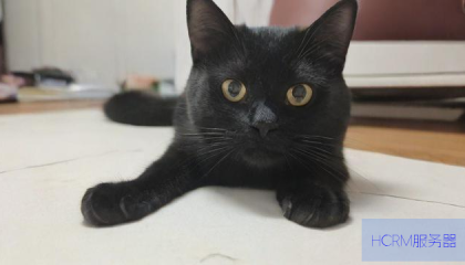 ks 快手买攒便宜，这是真的吗？