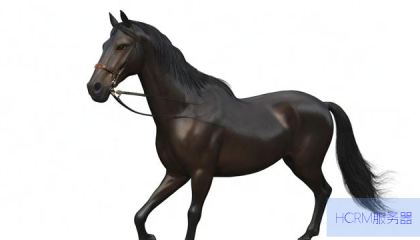 dy业务自助下单平台雷神,dy老马业务自助下单