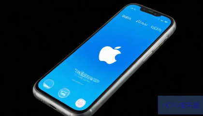 苹果手机移动网络的dns怎么设置不了网络设置