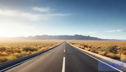 怎么设置路由器dns地址是什么情况