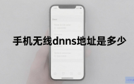 手机无线DNS地址怎么设置？