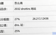 新疆DNS地址怎么填？