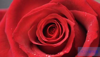 dy点赞自助平台下单网站免费,抖音业务自助下单网站玫瑰