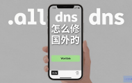 手机DNS怎么修改为国外的？