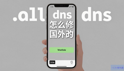 手机DNS怎么修改为国外的？