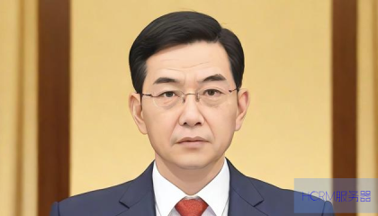 石破茂辞职时间点解析,背后原因及影响探究