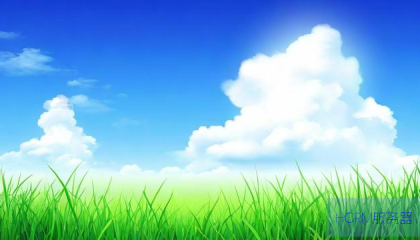 野草云虚拟主机如何远程连接？操作步骤详解