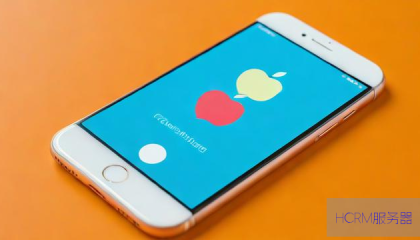 苹果手机wifi的dns怎么设置才能上网设置