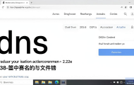如何跟踪网页的DNS解析过程？