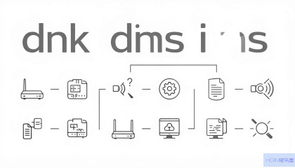 如何设置TP-Link路由器的DNS？