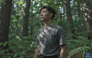 森林为什么进不了服务器？