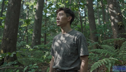 森林为什么进不了服务器？