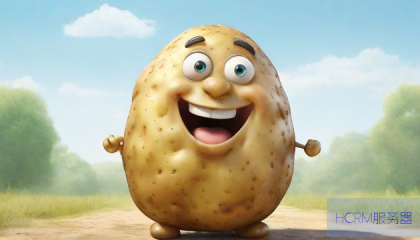 “土豆服务器”梗的由来与网络文化的幽默表达探讨