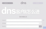 DNS客户端怎么进入？