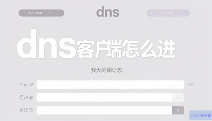 DNS客户端怎么进入？
