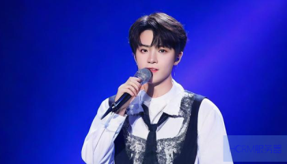 ks粉丝24h自助下单网址,快手赞业务免费下单软件