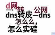 没网环境下如何通过DNS转发实现公网DNS解析？