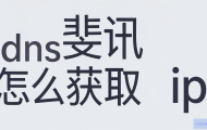 斐讯DNS如何获取IP地址？