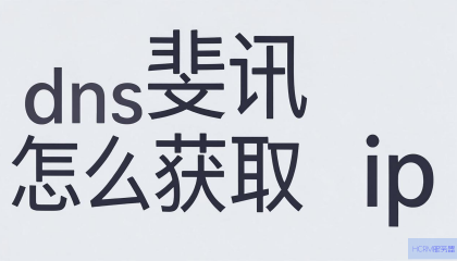 斐讯DNS如何获取IP地址？