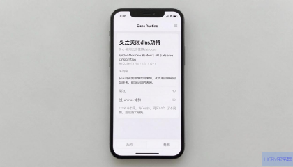 手机怎么关闭DNS劫持？