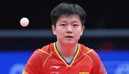 樊振东偶像揭秘,日本小将松岛辉空眼中的偶像级选手风采展示