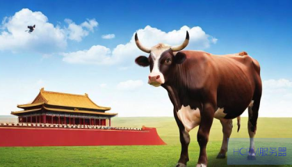 牛弹琴,中国向世界传递的十大强烈信号,深化改革开放,共创未来辉煌