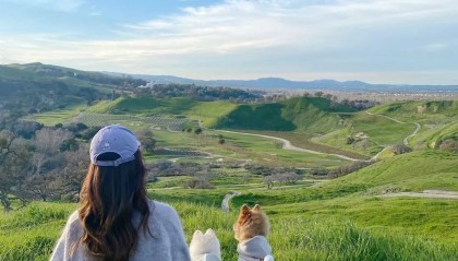 抖音24小时在线下单网站，二十四小时下单平台