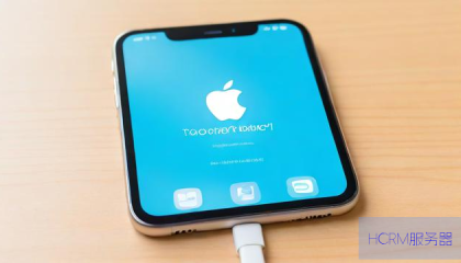 苹果手机的无线网络dns怎么设置