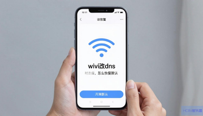 手机WiFi改DNS后如何恢复默认设置？