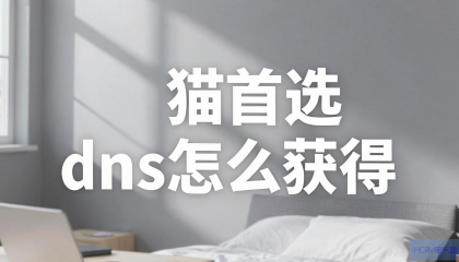 光猫首选DNS怎么获得？