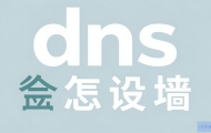 防火墙DNS怎么设置？