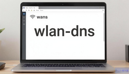 如何设置电脑WLAN的DNS？