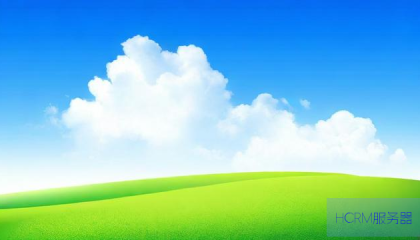 快手点赞平台，真能助力账号快速涨粉吗？