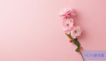 qq说说赞空间说说的网站,1元涨1000粉快手