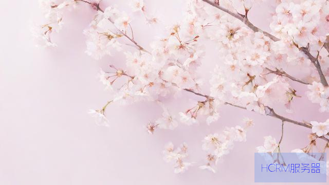 樱花纯净服务器怎么用的