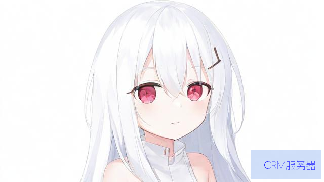 小白服务器号怎么看