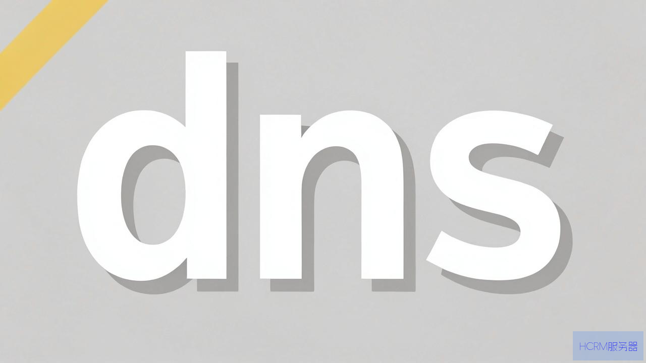 拼dns怎么拼