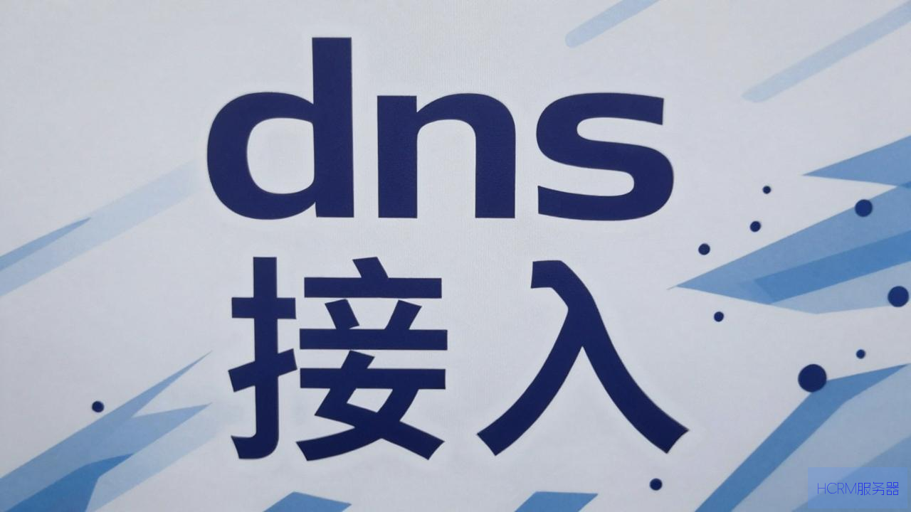 dns怎么接入