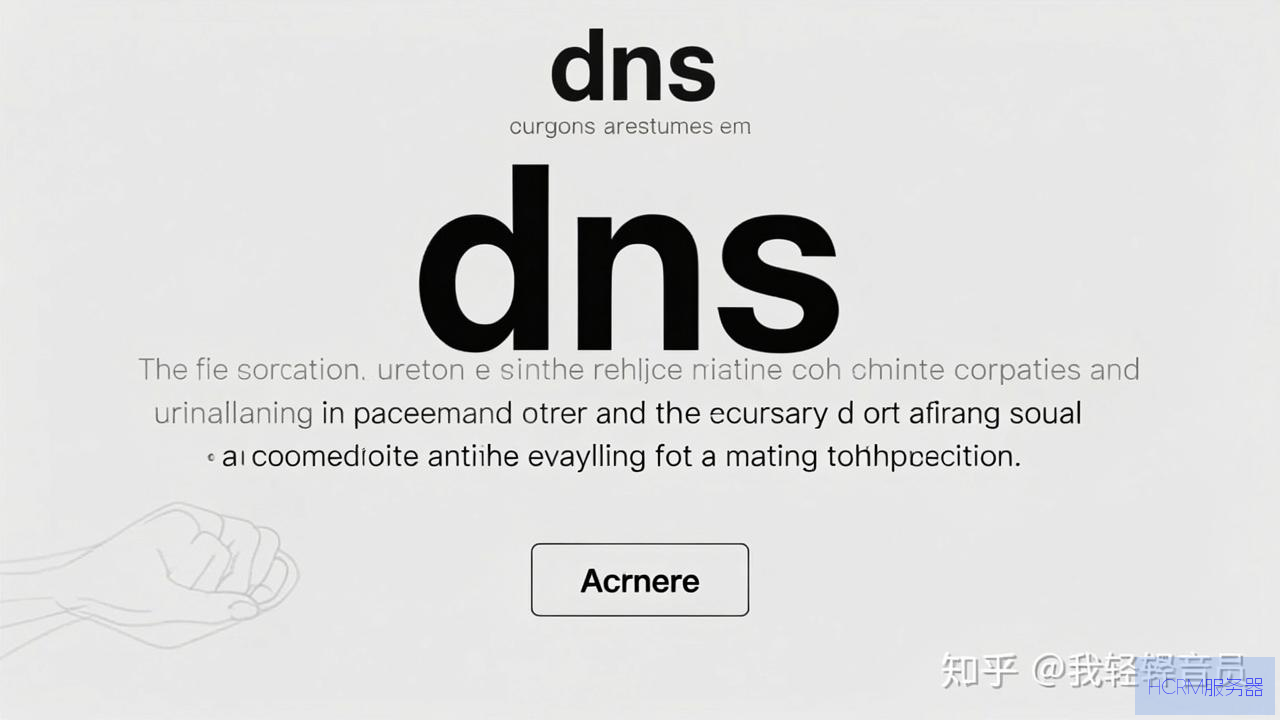 dns怎么接入