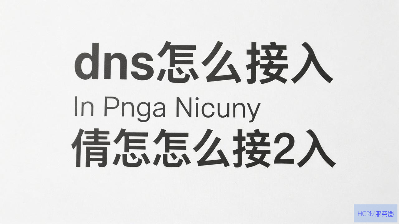 dns怎么接入
