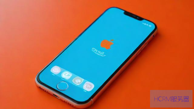 iphone手机dns怎么查询