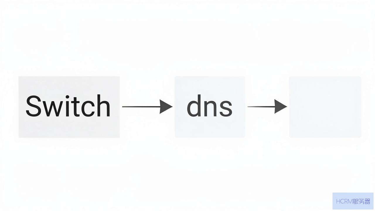 怎么连接switch的dns
