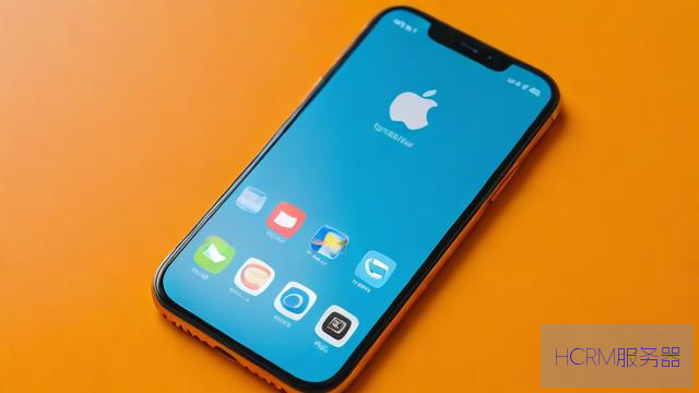 iphone手机dns怎么设置在哪