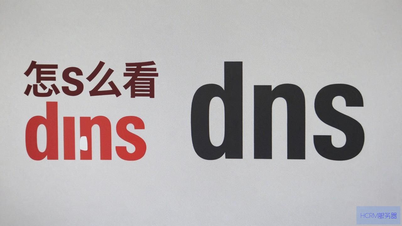 本机备用dns怎么看