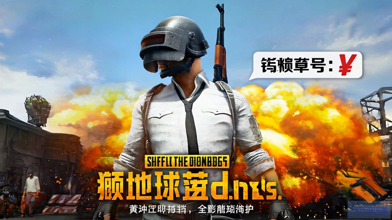绝地求生dns怎么填写