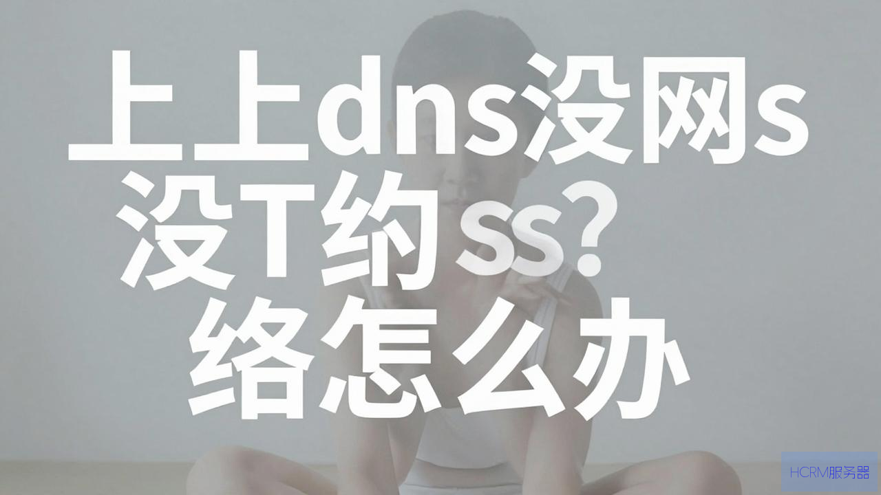 连上dns没网络怎么办