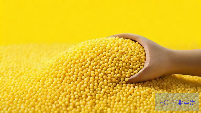 小米流量dns怎么设置