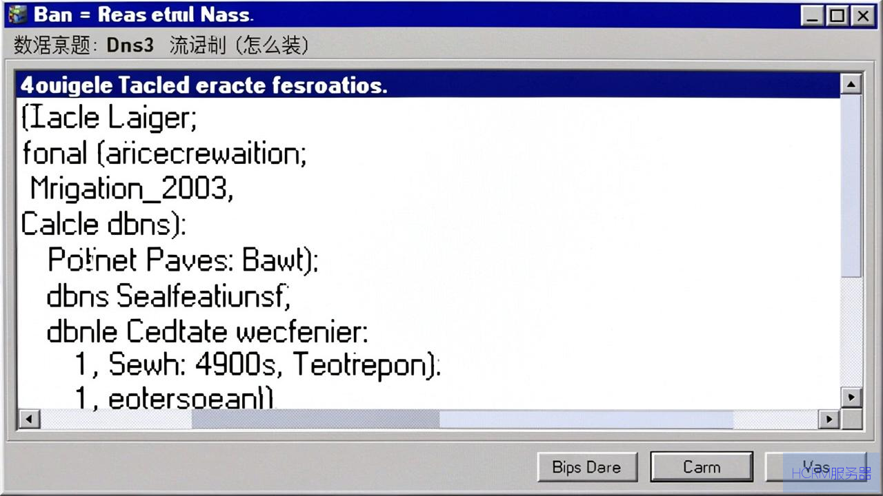 虚拟机2003怎么安装dns
