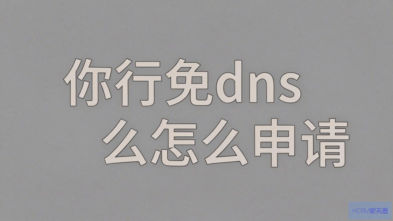免费dns怎么申请