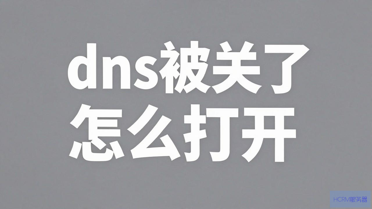 dns被关了怎么打开